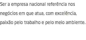 Ser a empresa nacional referência nos negócios em que atua, com excelência, paixão pelo trabalho e pelo meio ambiente. 